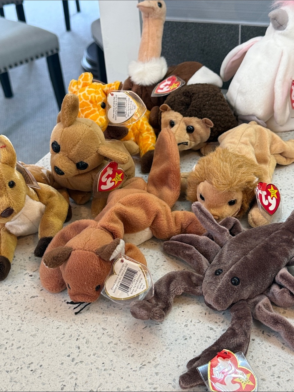 Classic collection of zoo animals